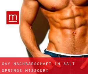 gay Nachbarschaft in Salt Springs (Missouri)