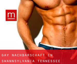 gay Nachbarschaft in Swannsylvania (Tennessee)