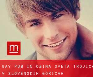gay Pub in Občina Sveta Trojica v Slovenskih Goricah