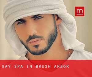 gay Spa in Brush Arbor