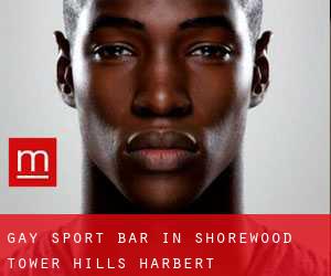 gay Sport Bar in Shorewood-Tower Hills-Harbert