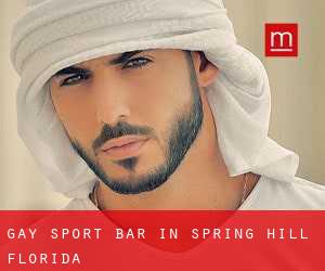 gay Sport Bar in Spring Hill (Florida)