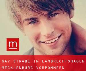 gay Straße in Lambrechtshagen (Mecklenburg-Vorpommern)