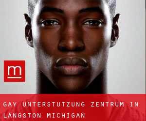 gay Unterstützung Zentrum in Langston (Michigan)