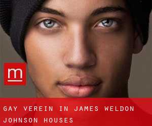 gay Verein in James Weldon Johnson Houses