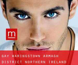 gay Waringstown (Armagh District, Northern Ireland)