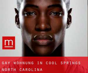 gay Wohnung in Cool Springs (North Carolina)