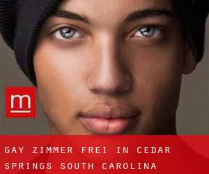 gay Zimmer Frei in Cedar Springs (South Carolina)