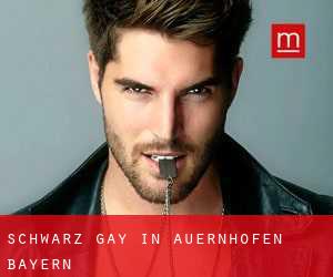 Schwarz gay in Auernhofen (Bayern)