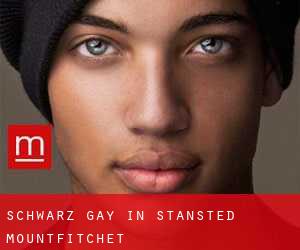 Schwarz gay in Stansted Mountfitchet