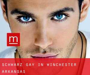 Schwarz gay in Winchester (Arkansas)