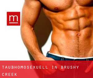 Taubhomosexuell in Brushy Creek