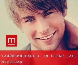 Taubhomosexuell in Cedar Lake (Michigan)